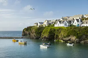Images Dated 1st September 2021: Harbour at Port Isaac, Cornwall, England, UK