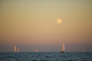 Images Dated 28th May 2008: Harvest Moon Regatta, Galveston, Texas, USA