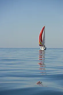 Images Dated 28th May 2008: Harvest Moon Regatta, Galveston, Texas, USA