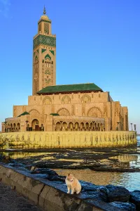 City Centre Prints: Hassan II mosque at dawn, Casablanca, Casablanca-Settat, Morocco
