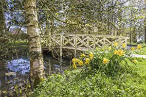 Birch Prints: Haubarg Hochdorfer Garden in Tating, North Friesland, Schleswig-Holstein