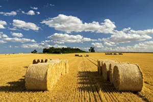 Hay Bales at Harvest Time, Norfolk, England