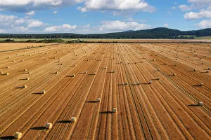 East Germany Prints: Hay bales near Weddersleben, Harz, Saxony-Anhalt, Germany
