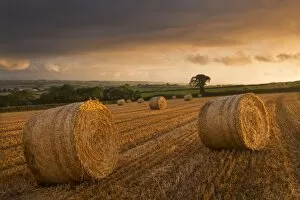 Images Dated 21st August 2012: Hay Bales in a ploughed field at sunset, Eastington, Devon, England. Summer (August)