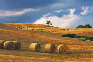 Hay ball on mown meadow - Italy, Tuscany, Siena, Buonconvento