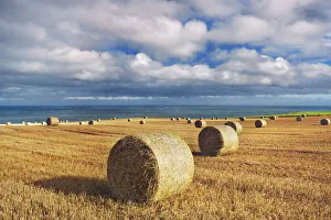 Stonehaven Prints: Hay ball and ocean - United Kingdom, Scotland, Aberdeenshire, Stonehaven, Fowlsheugh