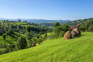 Hans Georg Eiben Prints: Hay stacks at Magura, Craiului National Parc, Transylvania, Romania
