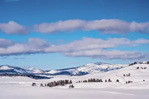Carvings Prints: Hayden Valley in winter