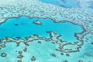 Heart reef in the Great Barrier Reef from above, Queensland, Australia