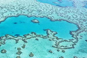 Airlie Beach Gallery: Heart reef in the Great Barrier Reef from above, Queensland, Australia