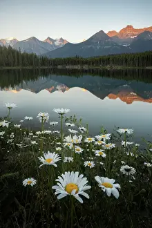 Herbert Lake Prints: Herbert Lake, Banff National Park, Alberta, Canada