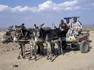Images Dated 21st April 2009: An Herero man and two women ride home in a donkey cart