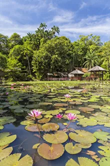 Images Dated 1st June 2015: Heritage Cultural Village & water lillies, Sabah State Museum, Kota Kinabalu, Sabah