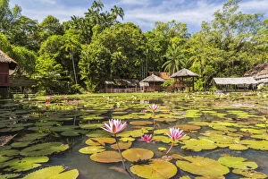 Malaysia Gallery: Heritage Cultural Village & water lillies, Sabah State Museum, Kota Kinabalu, Sabah