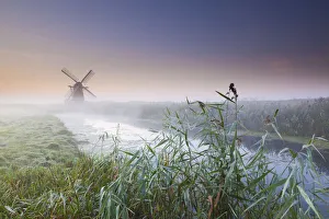 Suffolk Prints: Herringfleet Mill in Mist, Suffolk, England