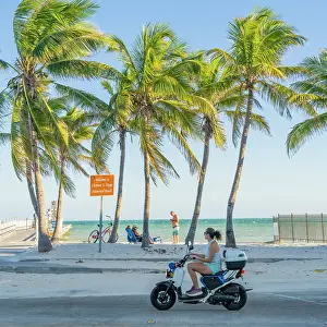 Scooter Prints: Higgs Beach, Key West, Florida, USA
