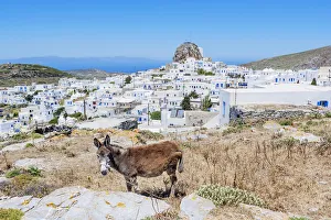 Whitewashed Prints: High angle view of Chora, Amorgos, Cyclades Islands, Greece