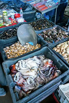 Containers Collection: High angle view of crates with various fresh sea food for sale at market, Caleta Portales