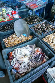 Retail Prints: High angle view of crates with various fresh sea food for sale at market