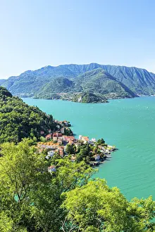Varenna Prints: High angle view of Varenna and Bellagio surrounded by trees in summer