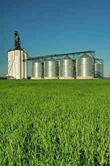 Manitoba Prints: high through put grain elevator (Paterson Grain)