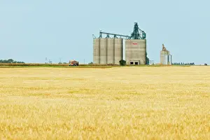Wheat Prints: High throughput grain elevators (terminals) and grain crop Vulcan, Alberta, Canada