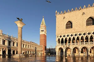 Acqua Alta Gallery: High tide in the morning in St Marks Square. Venice, Veneto, Italy