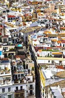 A high view of Seville streets and palaces, from Giralda Tower