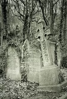 Images Dated 25th November 2008: Highgate Cemetery