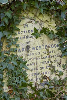 Grave Prints: Highgate Cemetery, London, England