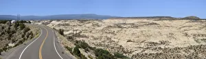 Slickrock Prints: Highway 12 between Boulder and Escalante, Colorado Plateau, Utah, USA