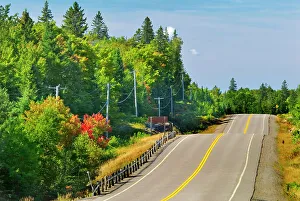 Highways Prints: Highway 60 in Algonquin Provincial Park, Ontario, Canada