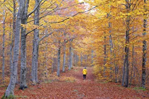Admire Gallery: Hiker in the Apennines, Tuscan-Emilian National Park, municipality of Ventasso