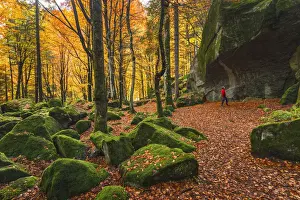 Beech Trees Prints: Hiker looks at the big rock of Bagni di Masino forest in Autumn time, Val Masino
