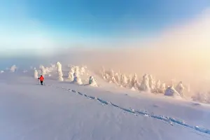 The Way Forward Prints: Hiker snowshoeing in deep snow in the winter scenery of Finnish Lapland at dawn