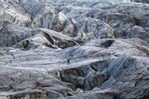 Walker Prints: Hiker at Svinafellsjokull, Hornafjorður, Austurland, Iceland, Northern Europe (MR)