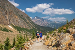 Artist Prints: Hikers on path along the Edith Cavell Trail. Jasper National Park, Alberta, Canada