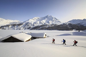 Hikers on snowshoes, Spluga, Maloja Pass. Engadine. Switzerland. Europe
