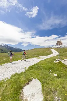 Valchiavenna Prints: Hikers surrounded by green meadows Andossi Montespluga Chiavenna Valley Sondrio province