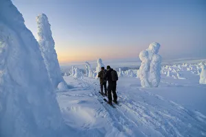 Hikers walking in the woods of Riisitunturi national park, posio, lapland, finland
