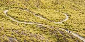 Twisted Prints: HIkers on Winding Trail, New Zealand