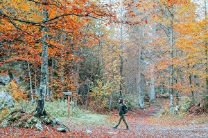 Walk Prints: Hiking at Fusine Lakes in Autumn, Friuli Venezia Giulia, Italy (MR)
