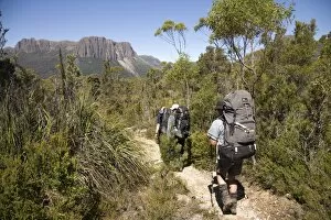 Overland Track Gallery: Hiking the Overland Track