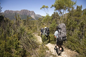Overland Track Gallery: Hiking the Overland Track