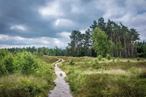 Heath Prints: Hiking trail through the heathland in the Thuelsfeld Dam nature reserve