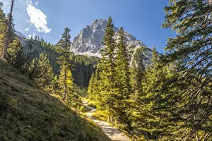 Ehrwald Prints: Hiking trail to Lake Seebensee in the Gais valley with a view of the Rauher Kopf