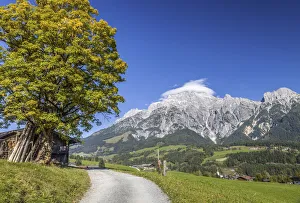 Hiking Trail Prints: Hiking trail in the Leogang mountains, Leogang, Salzburger Land, Austria