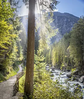 Back Light Prints: Hiking trail on the stream Ache in the Oetz valley, Oetz, Tyrol, Austria