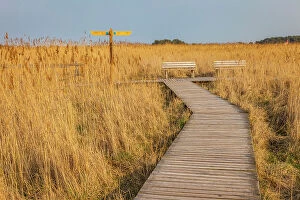 Images Dated 2nd November 2022: Hiking trail in the Western Pomerania Lagoon Area National Park at Darsser Ort