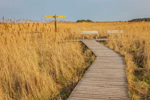 Images Dated 2nd November 2022: Hiking trail in the Western Pomerania Lagoon Area National Park at Darsser Ort